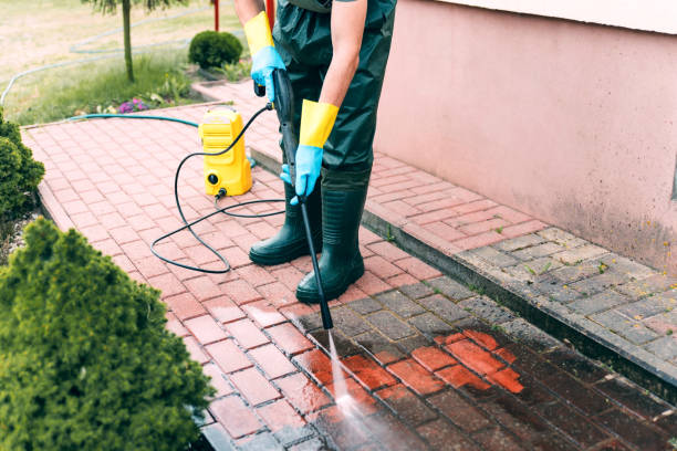 Spring Cleaning in San Anselmo, CA